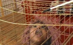 Caged Black Ghetto Whore Slapped Around And Face FUcked