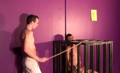 Jaiden Fox Watches Sub Twink Jack Off And Cum In A Cage